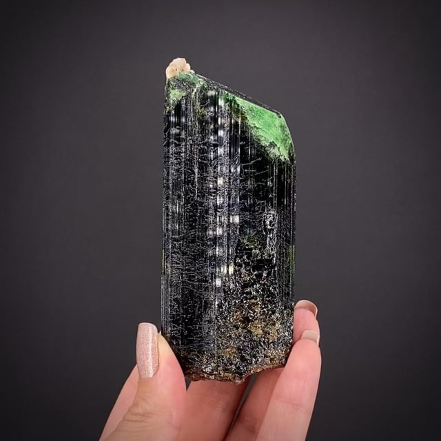 Vanadium Dravite Tourmaline - V22-1076 - Nandonjuki - Tanzania 