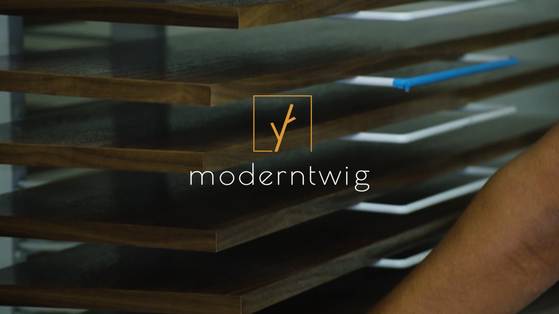 Video promo - Introduction video "Modern twig"