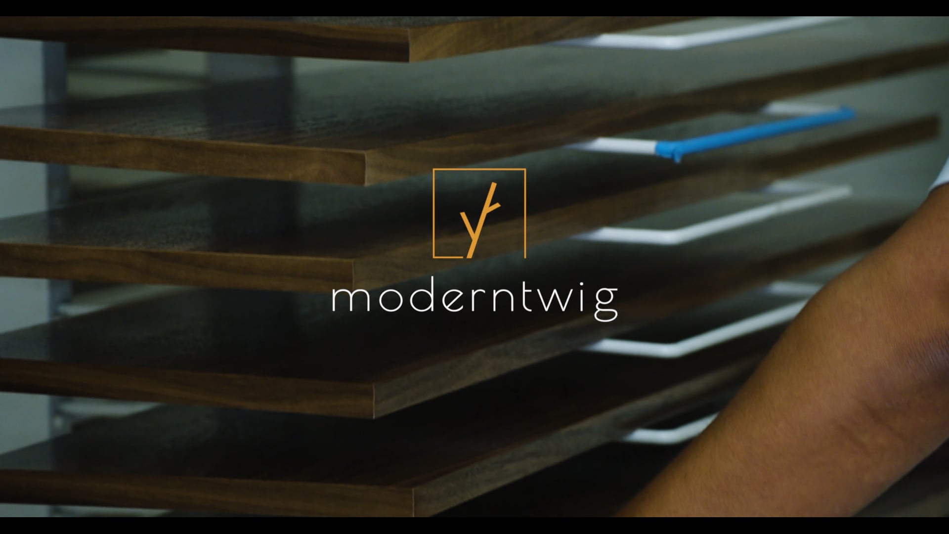 Video promo - Introduction video "Modern twig"