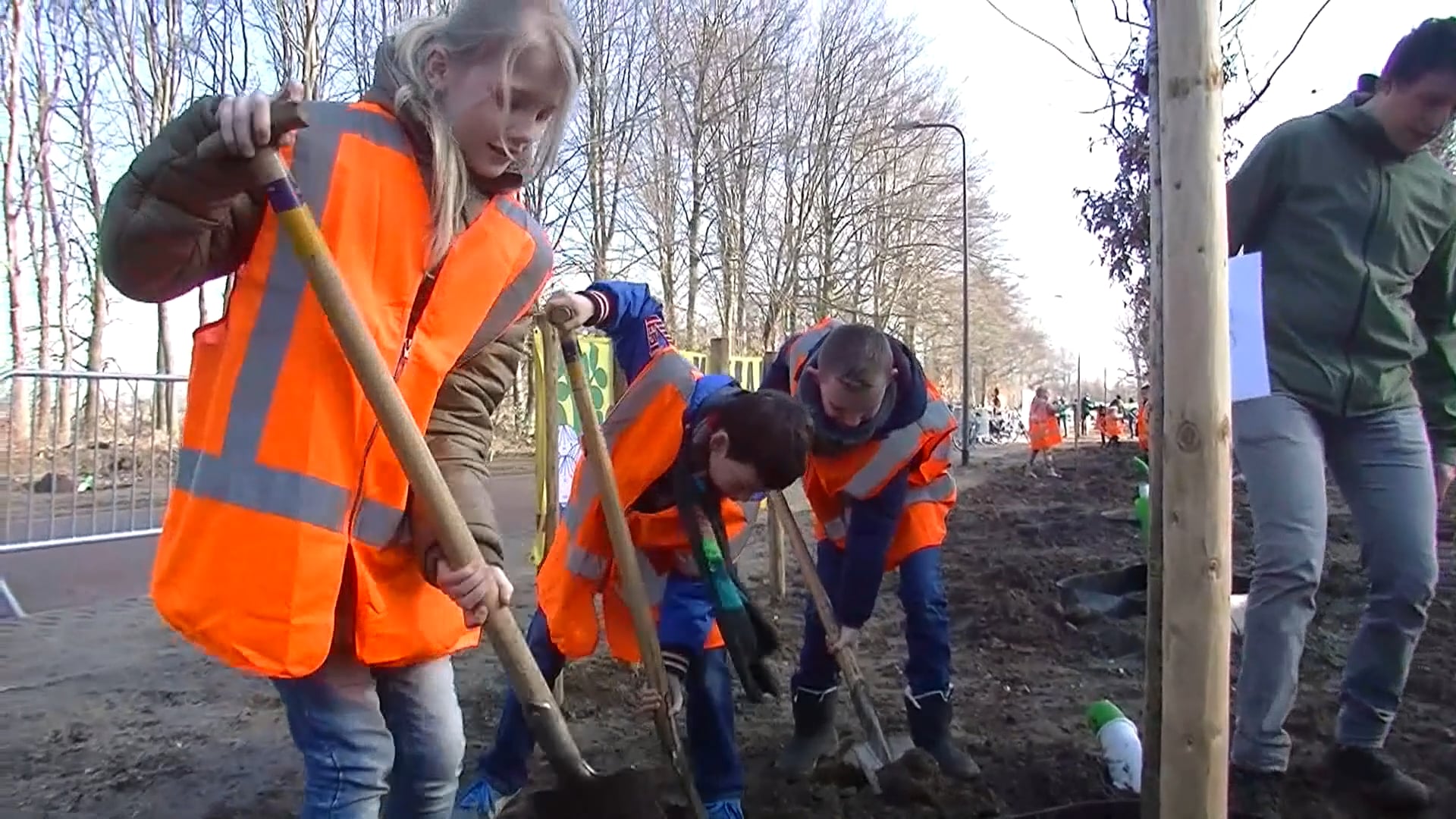 Bomen Zijn Belangrijk Geen Outro On Vimeo