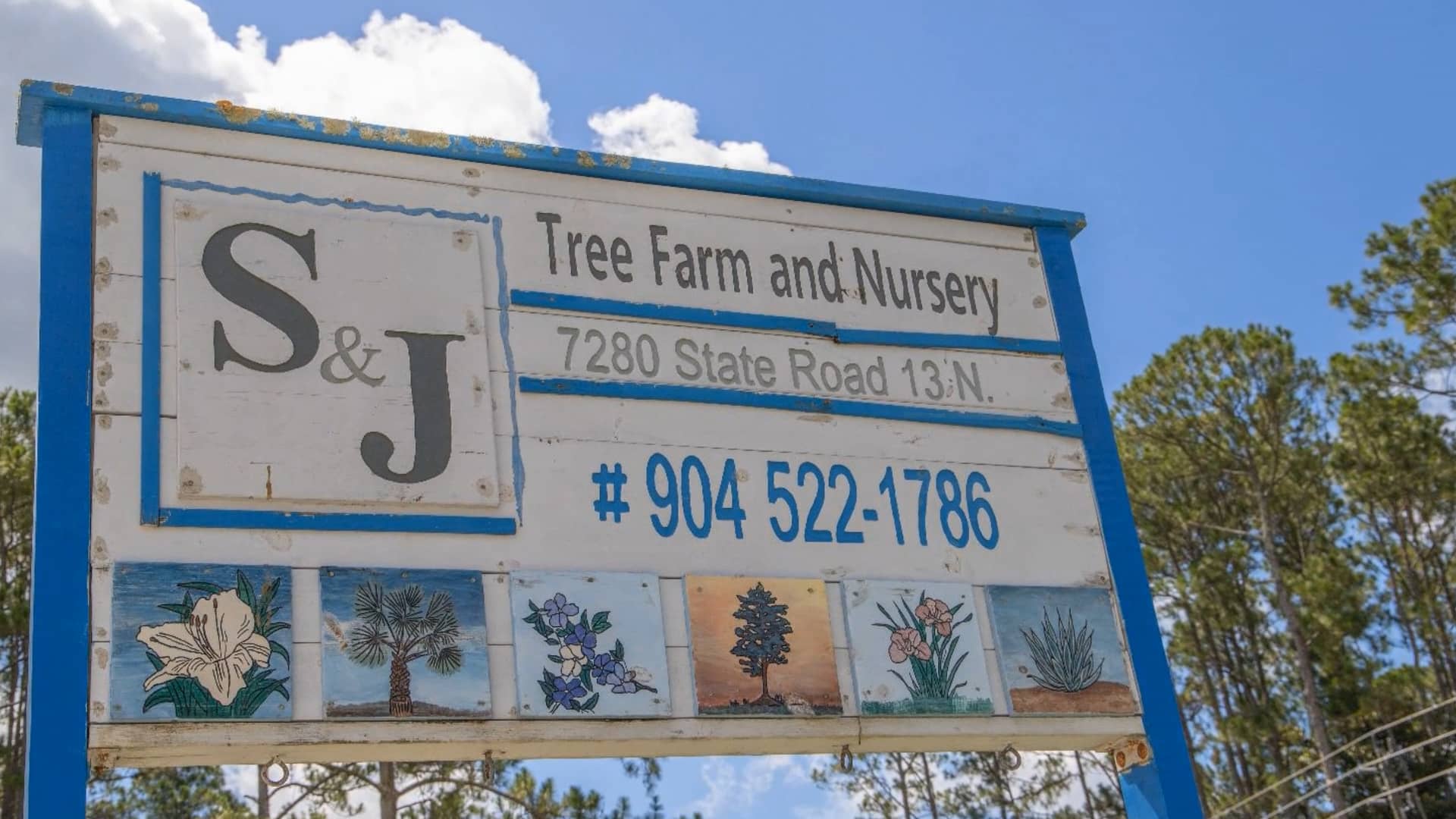S and J Tree Farm State Road, 13 St Augustine, Fl. on Vimeo