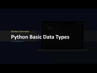 Python: 3.1. Python Basic Data Types (section overview)