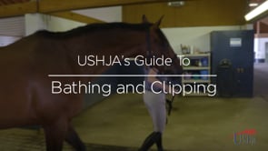 USHJA's Guide to Bathing and Clipping