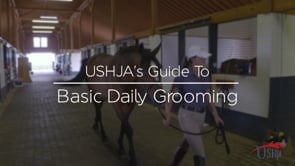 USHJA's Guide to Basic Daily Grooming