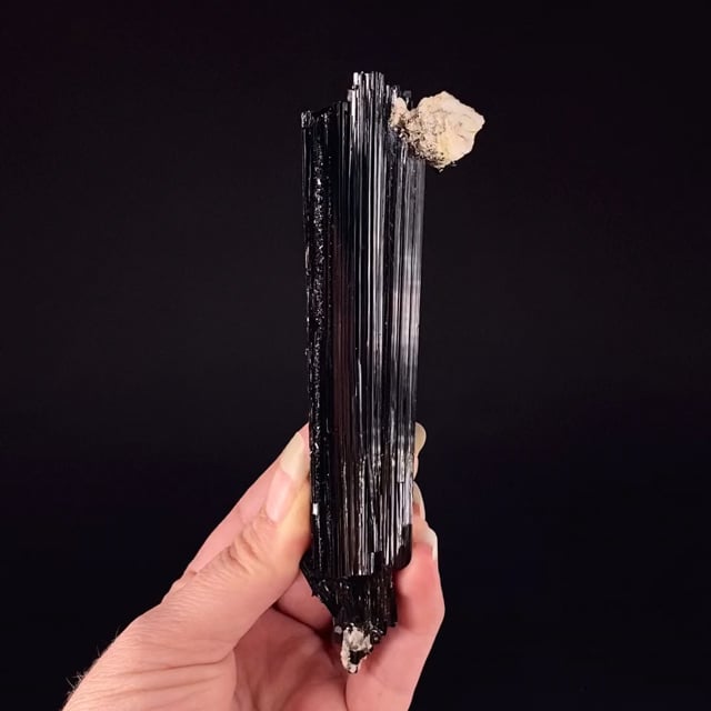 Schorl Tourmaline with Albite