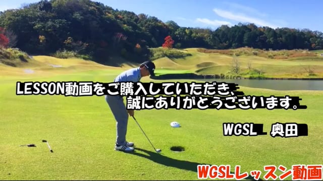 World Golf Swing Labo