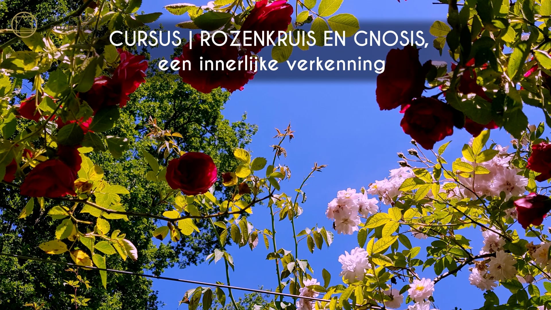 Introductie