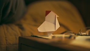 Related Embedded Video Item Thumbnail