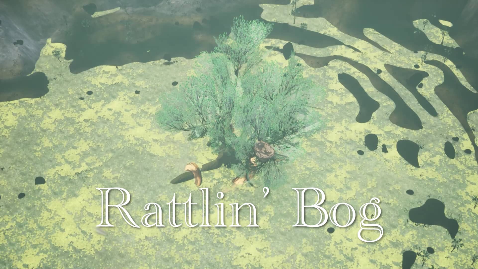 Rattlin Bog Video Trailer on Vimeo