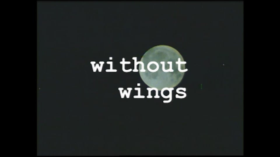 Flying without Wings, Propellers or Jets
