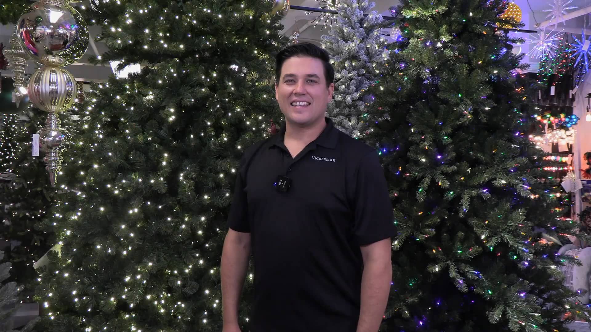 Program christmas tree lights