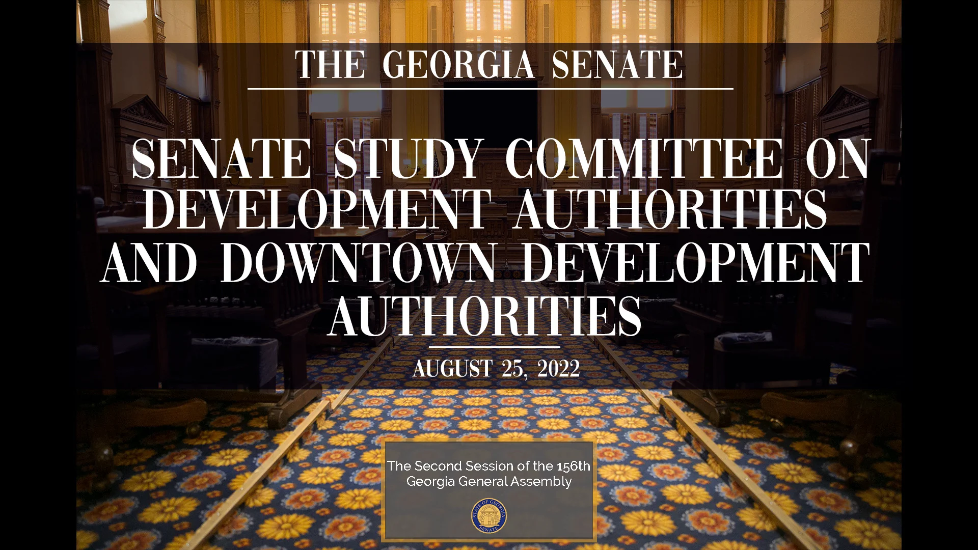 Senate Study Committee on Development Authorities and Downtown ...