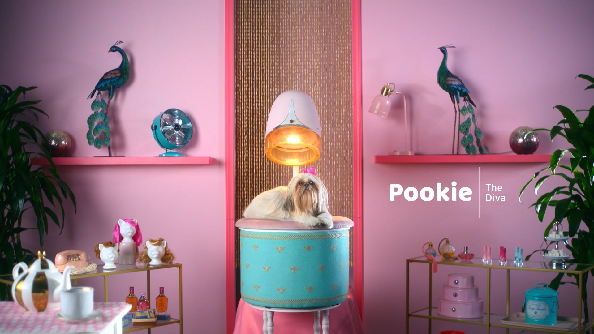 Physicians Mutual "Pookie"