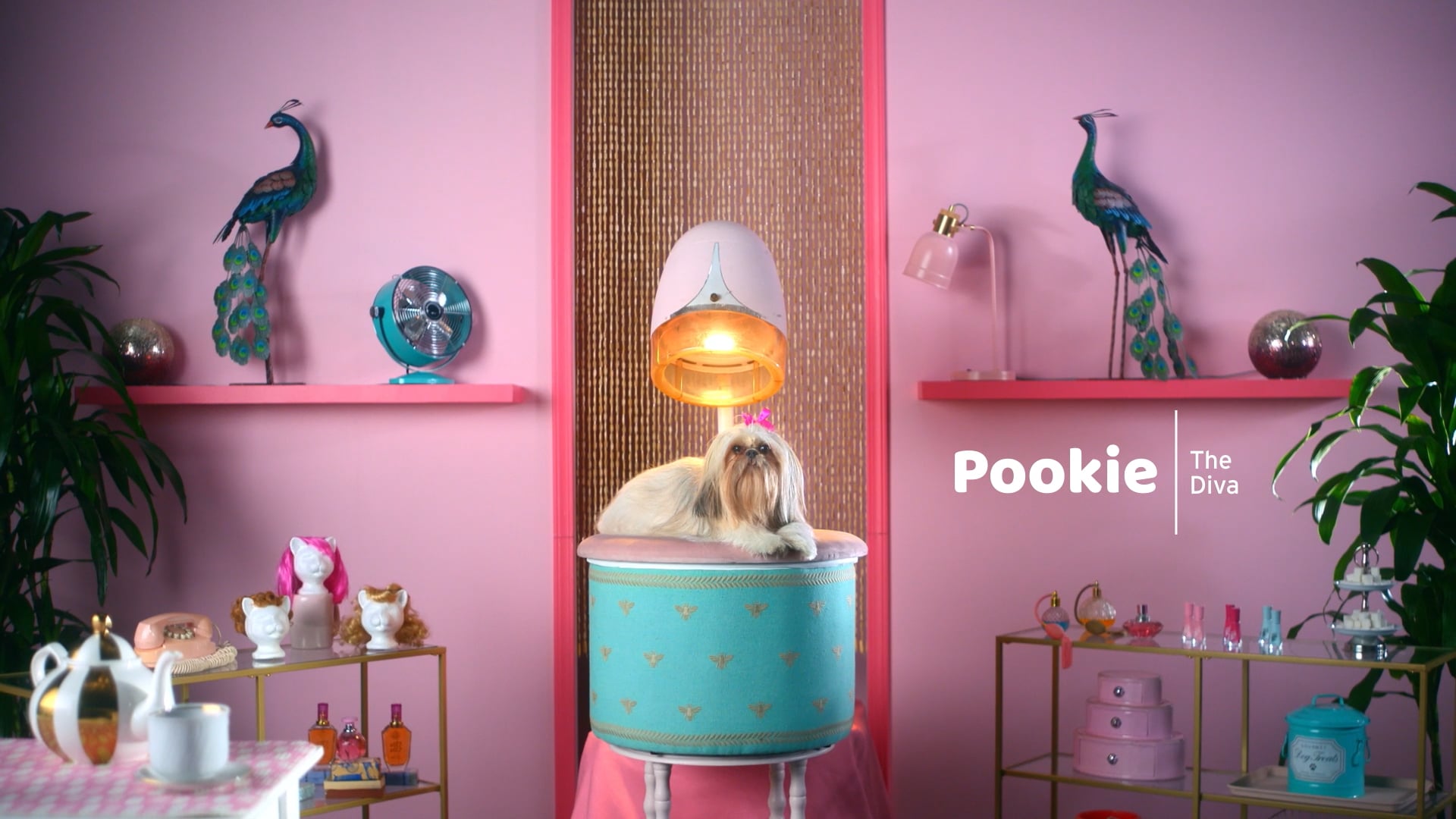 Physicians Mutual "Pookie"