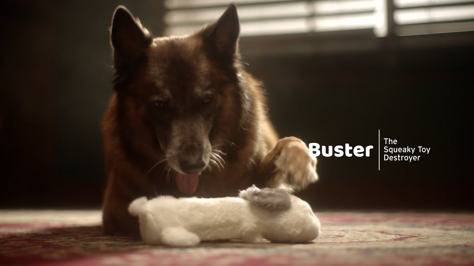 Physicians Mutual "Buster"