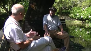 Miguel Ayres, historiador: "O Solar, ou casa senhorial, é uma marca patrimonial, cultural e artística limiana"