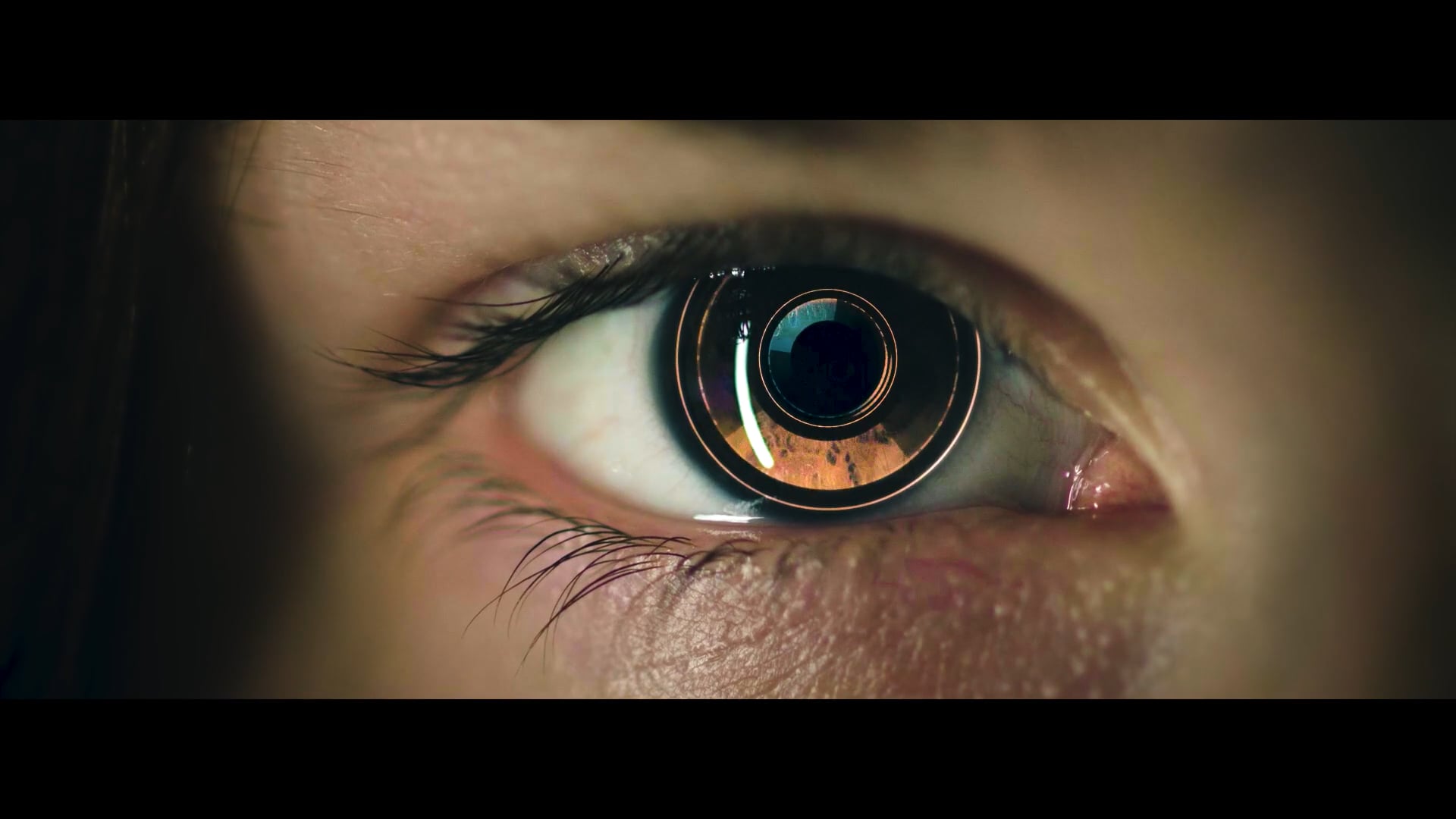 Kevin Sibley Motion Graphics Reel