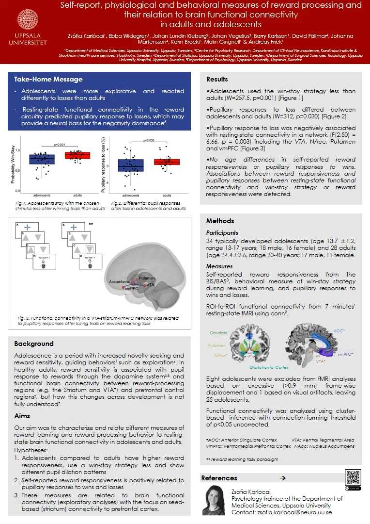 Reward processing and their relation to brain functional connectivity ...
