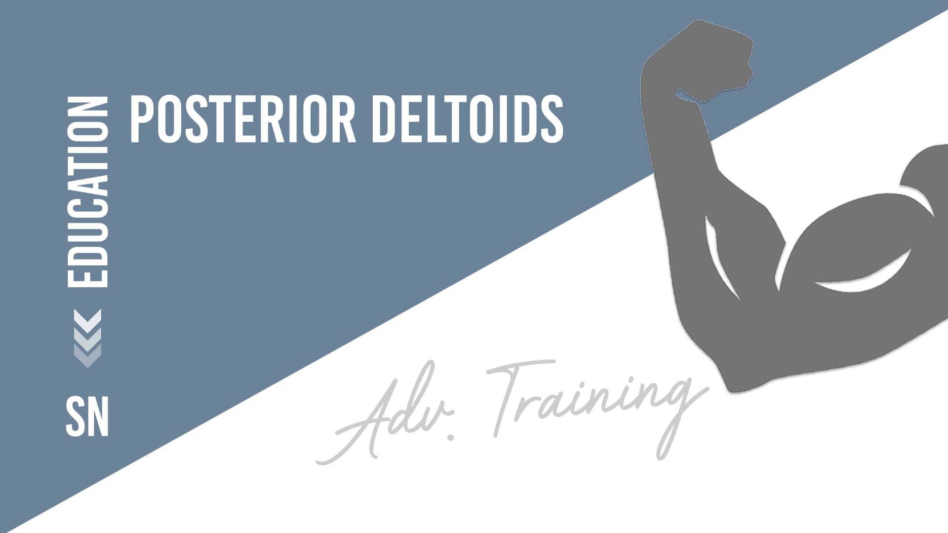 Posterior Deltoids