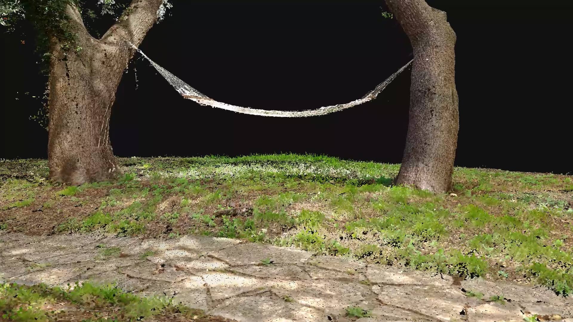 Pleasant Trees on Vimeo