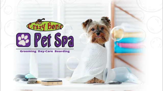 Cc sales pet spa