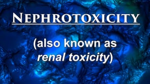 Nephrotoxicity