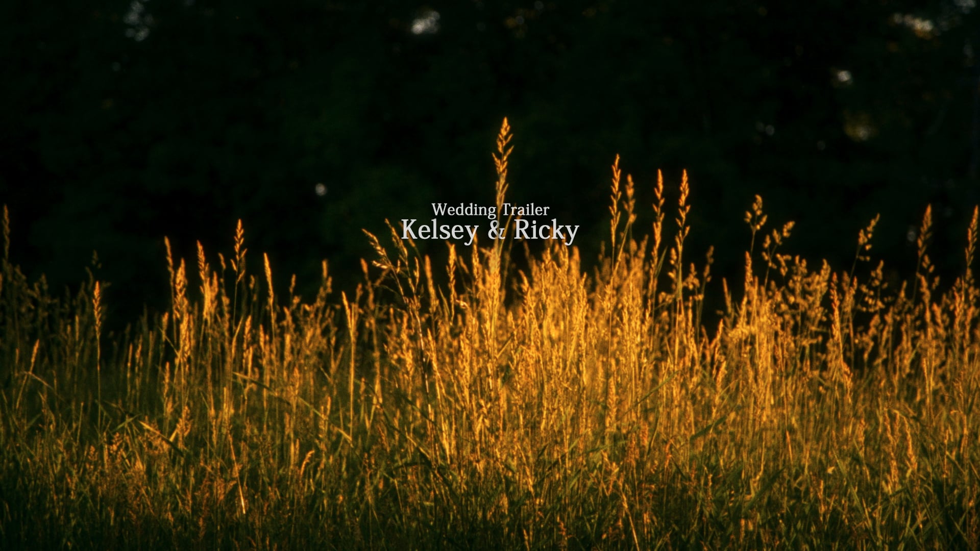 Kelsey & Ricky's Wedding Trailer