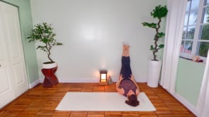 Related Embedded Video Item Thumbnail