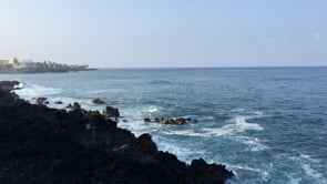 Related Embedded Video Item Thumbnail