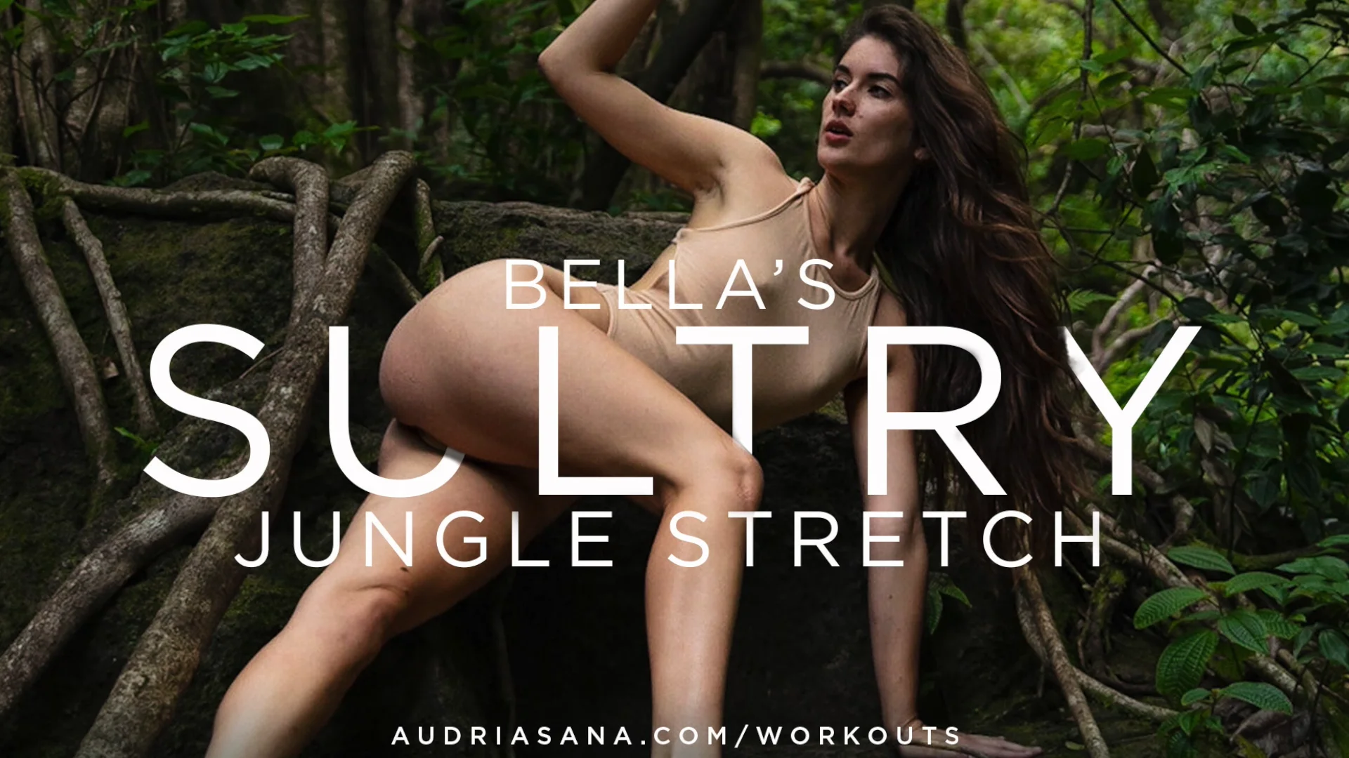 Watch Bella’s Sultry Jungle Stretch + Two Sexy Pole Videos Featuring Audri  Online | Vimeo On Demand