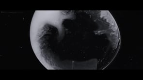 Profile Video