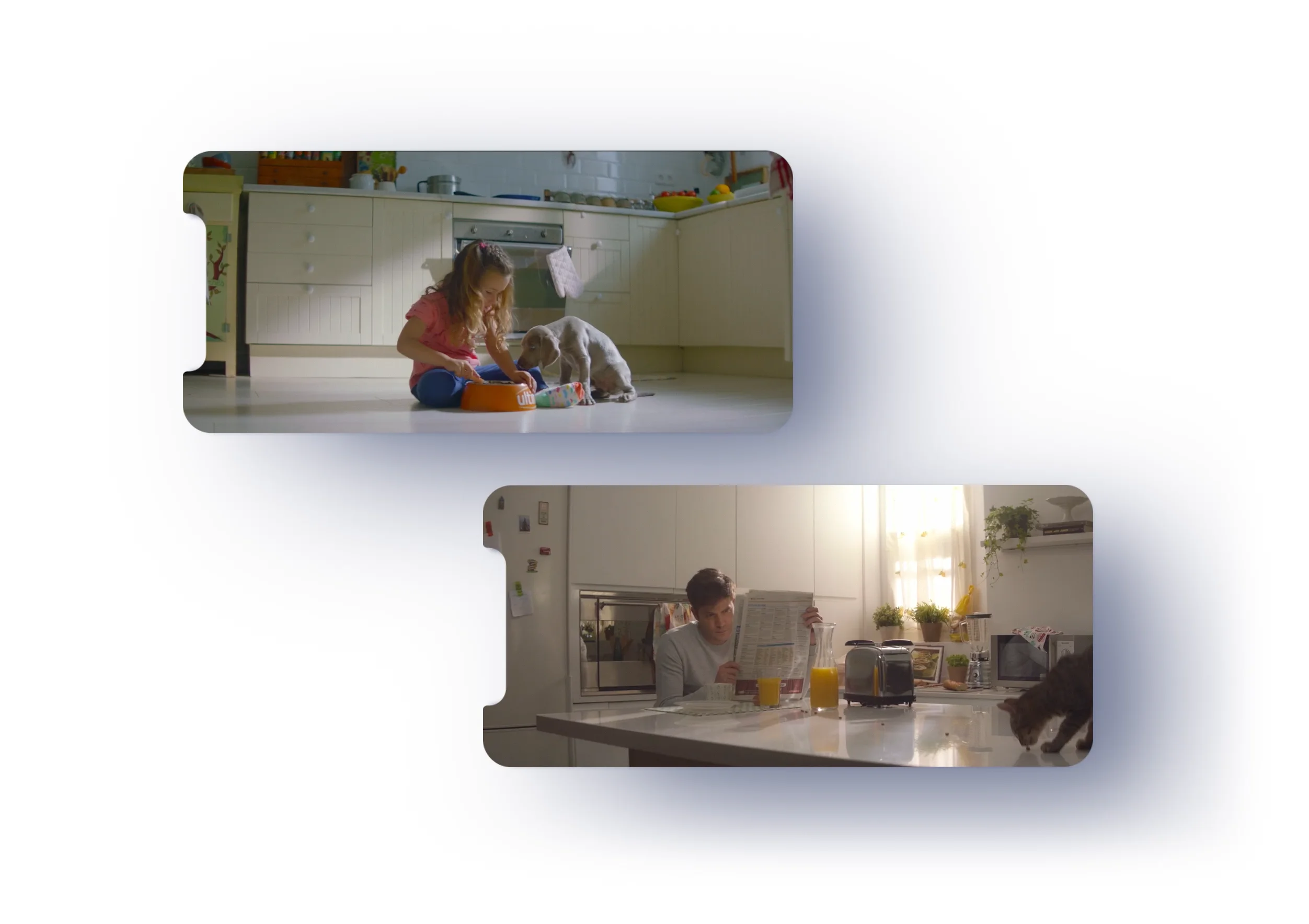 - on Vimeo