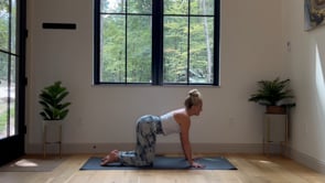 Related Embedded Video Item Thumbnail