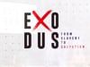 Exodus 4:17-7.6 | Purposeful Obedience | Troy Nicholson | 8.28.22