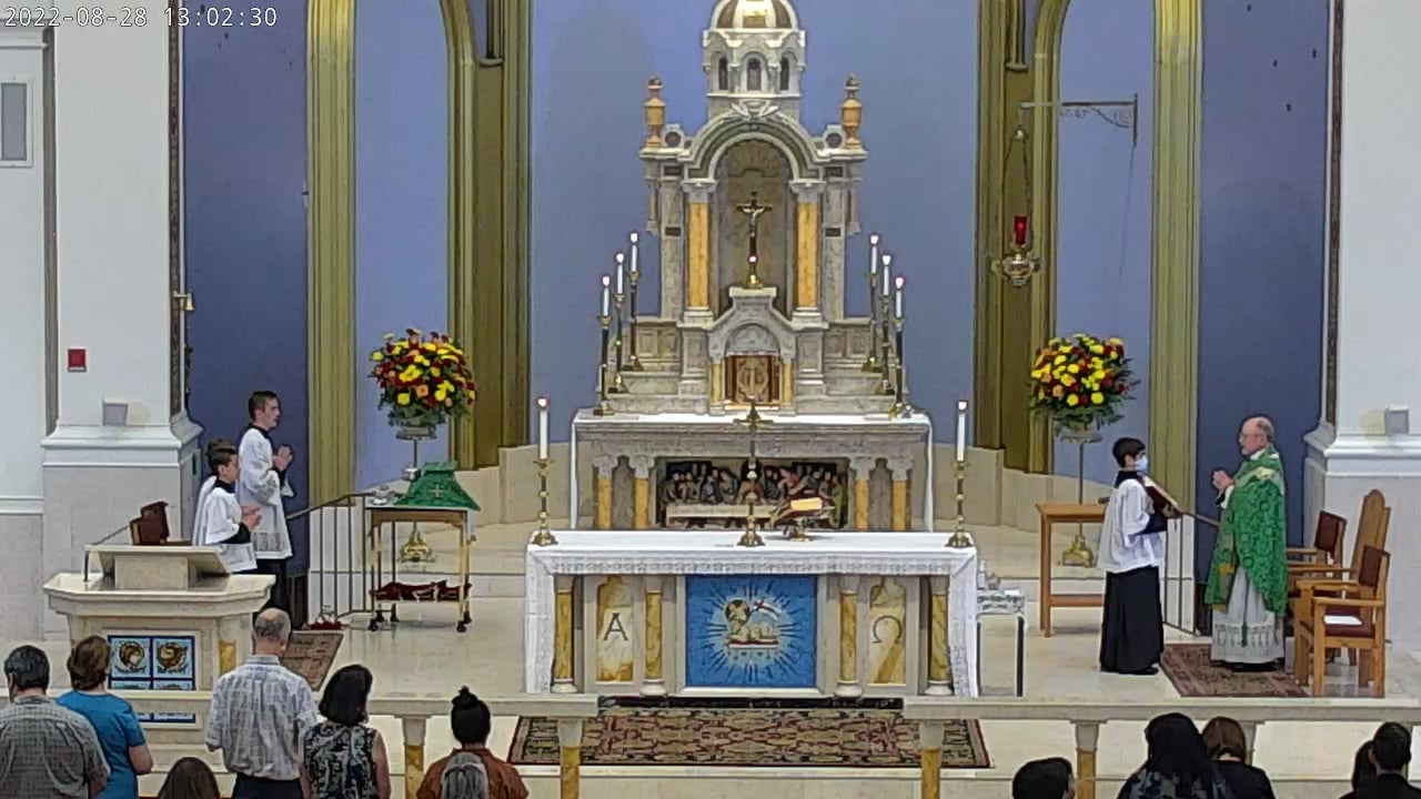 26 Aug Father D Homily 1 pm on Vimeo