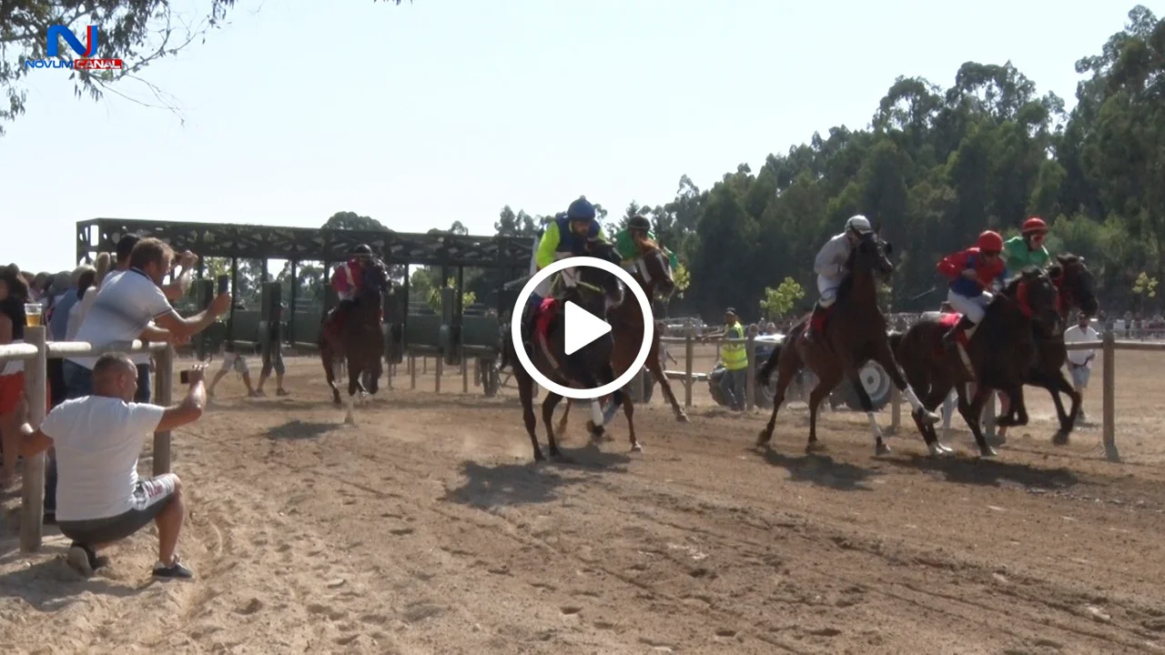 630+ Corrida De Obstáculos Corrida De Cavalos vídeos e Clipes de