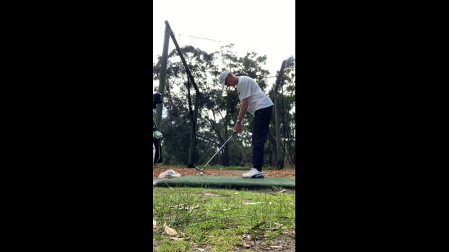 Play swing video
