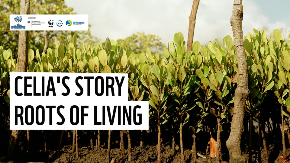 Mangroves: The Unsung Climate Heroes