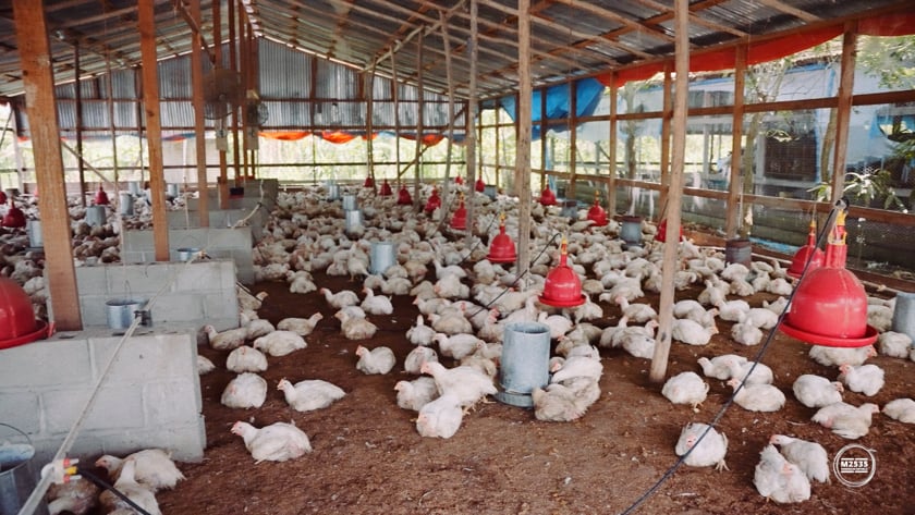 vimeo-video-thumbnail