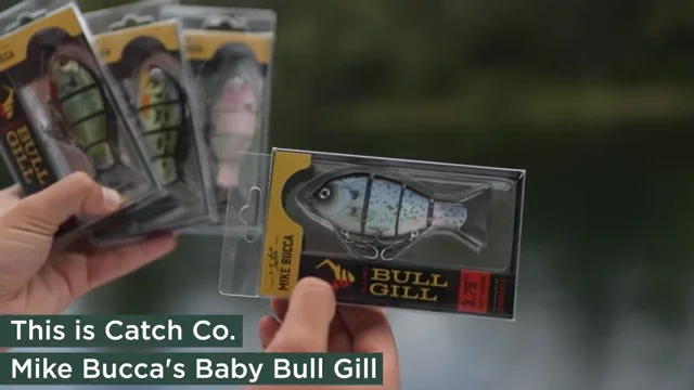Catch Co. Bucca Baby Bull Gill 3 3/4 inch Hard Body Swimbait — Discount  Tackle