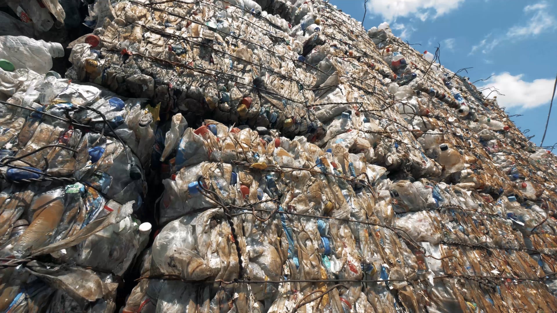 Grove Collaborative Brand Anthem.mp4