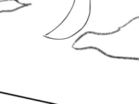 TikTok Storyboard Test
