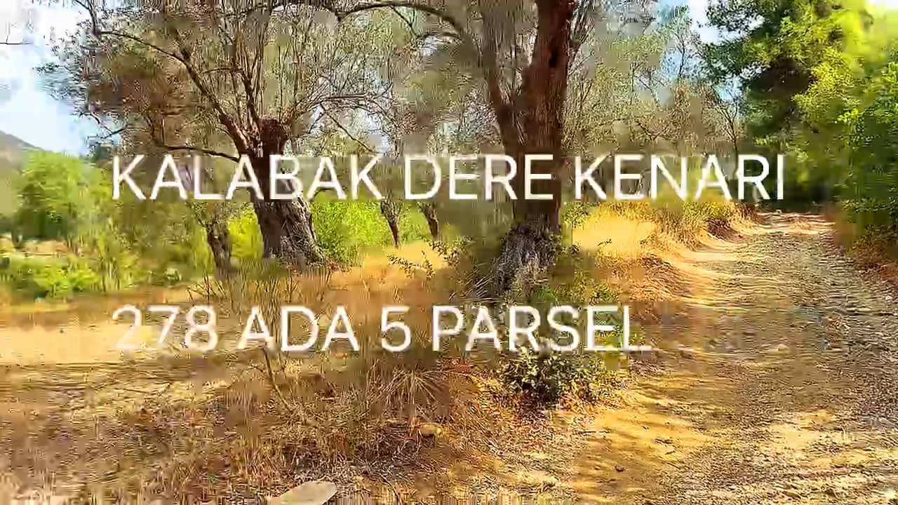 Bahçe Balıkesir Havran KALABAKTA EVİ İÇİNDE HOBİ BAHÇESİ DERE KENARI