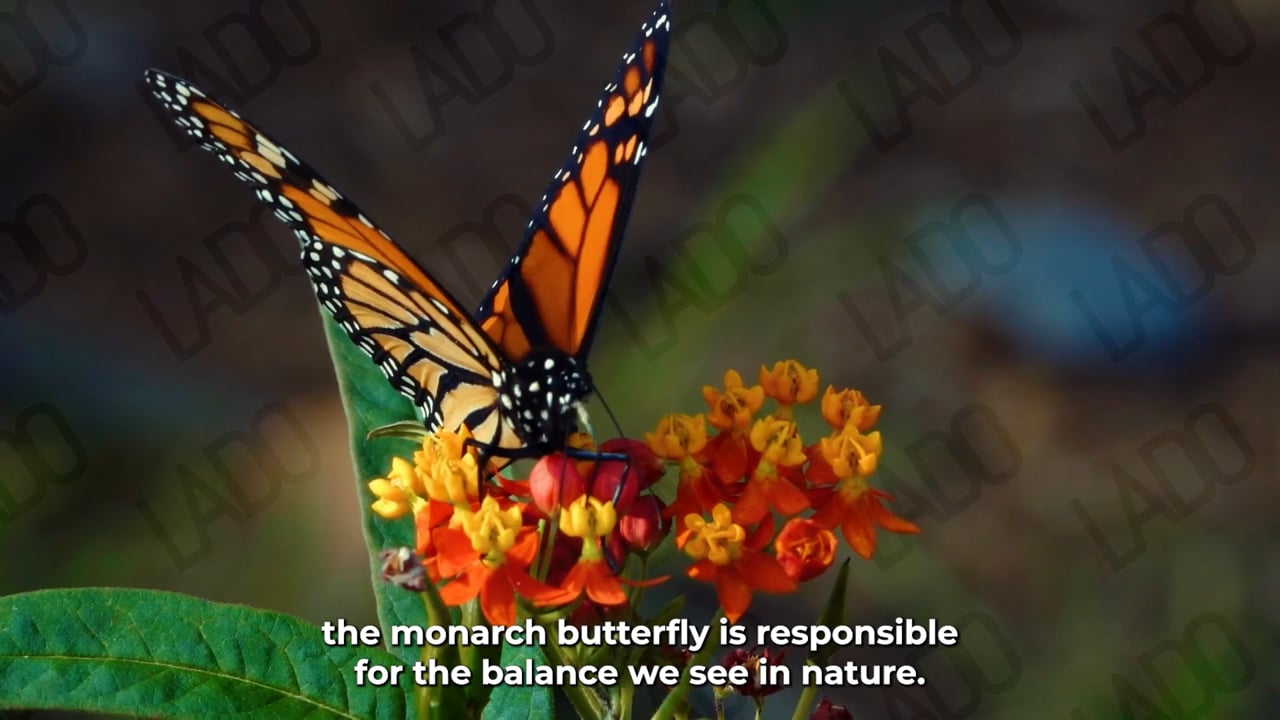 AIRWICK Premios Sabre