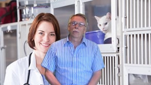 Is the Vet World Sexist?