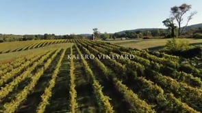 kalero_vineyard (360p) Video .mov