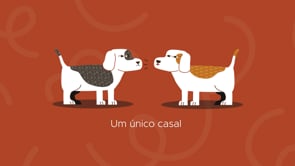 Infografico_Esterilizar_é_cuidar_CAGIA