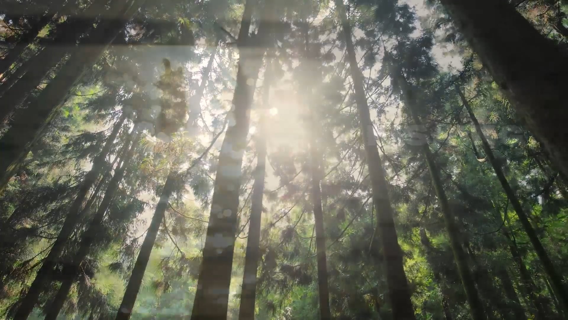 https://i.vimeocdn.com/video/1498231029-66745740dc7d68b3154dcddca3c0076897ee65683f59244963f356b7be286498-d
