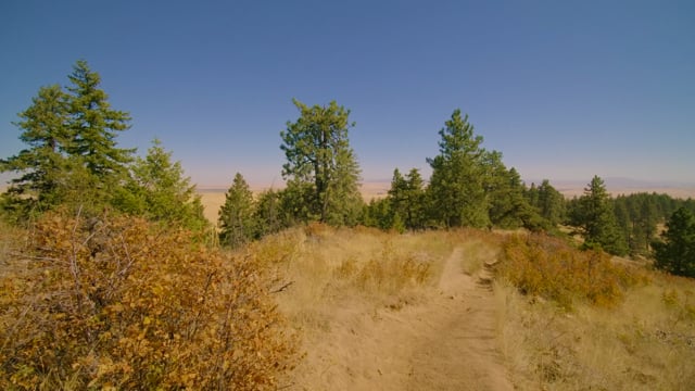 Kamiak Butte County Park, WA State - Virtual Hike