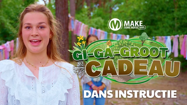 Gi-Ga-Groot Cadeau - Dansinstructie
